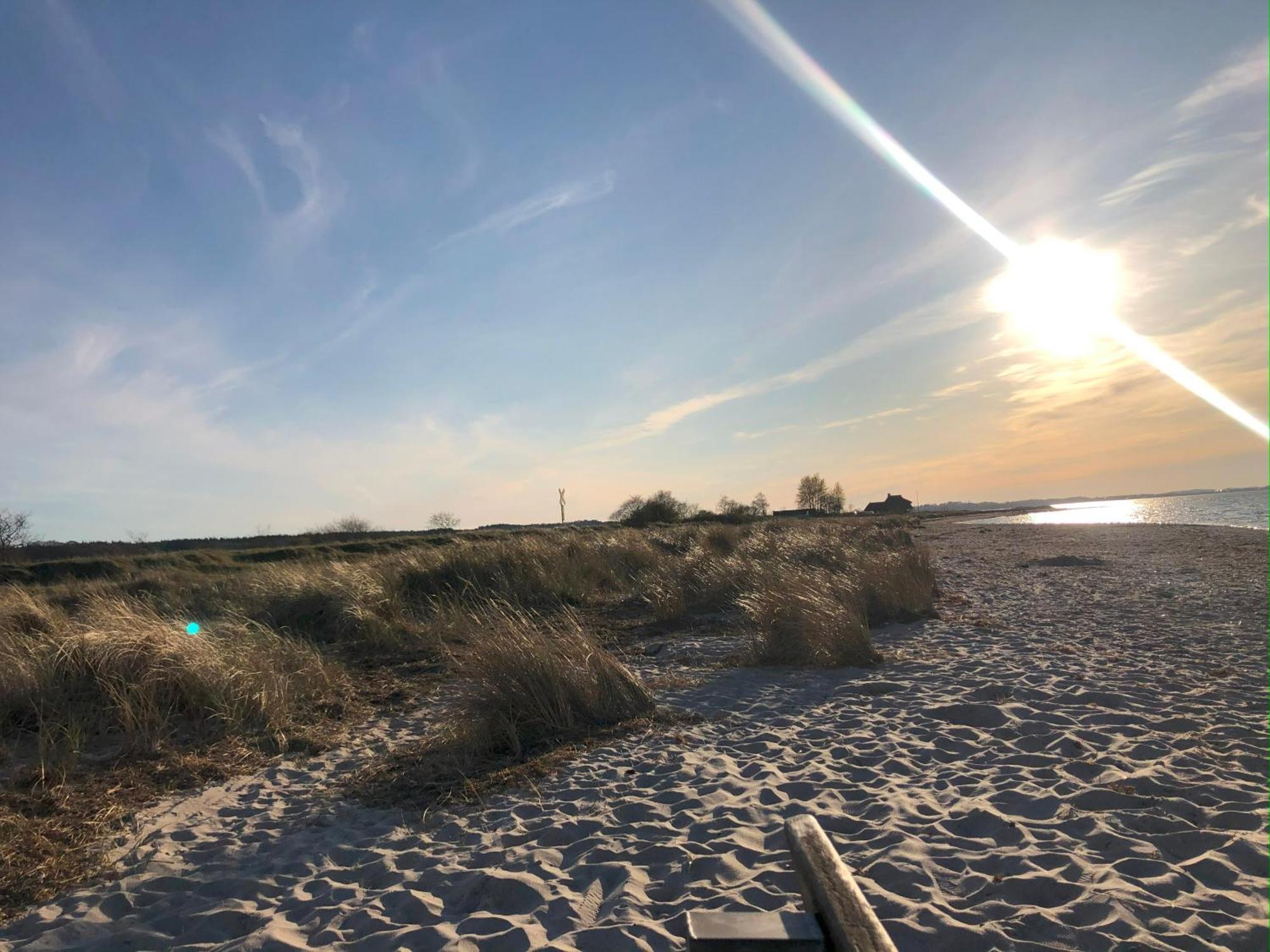 Neue Ferienwohnung An Der Ostsee,Terrasse,Sauna Surendorf Exteriér fotografie