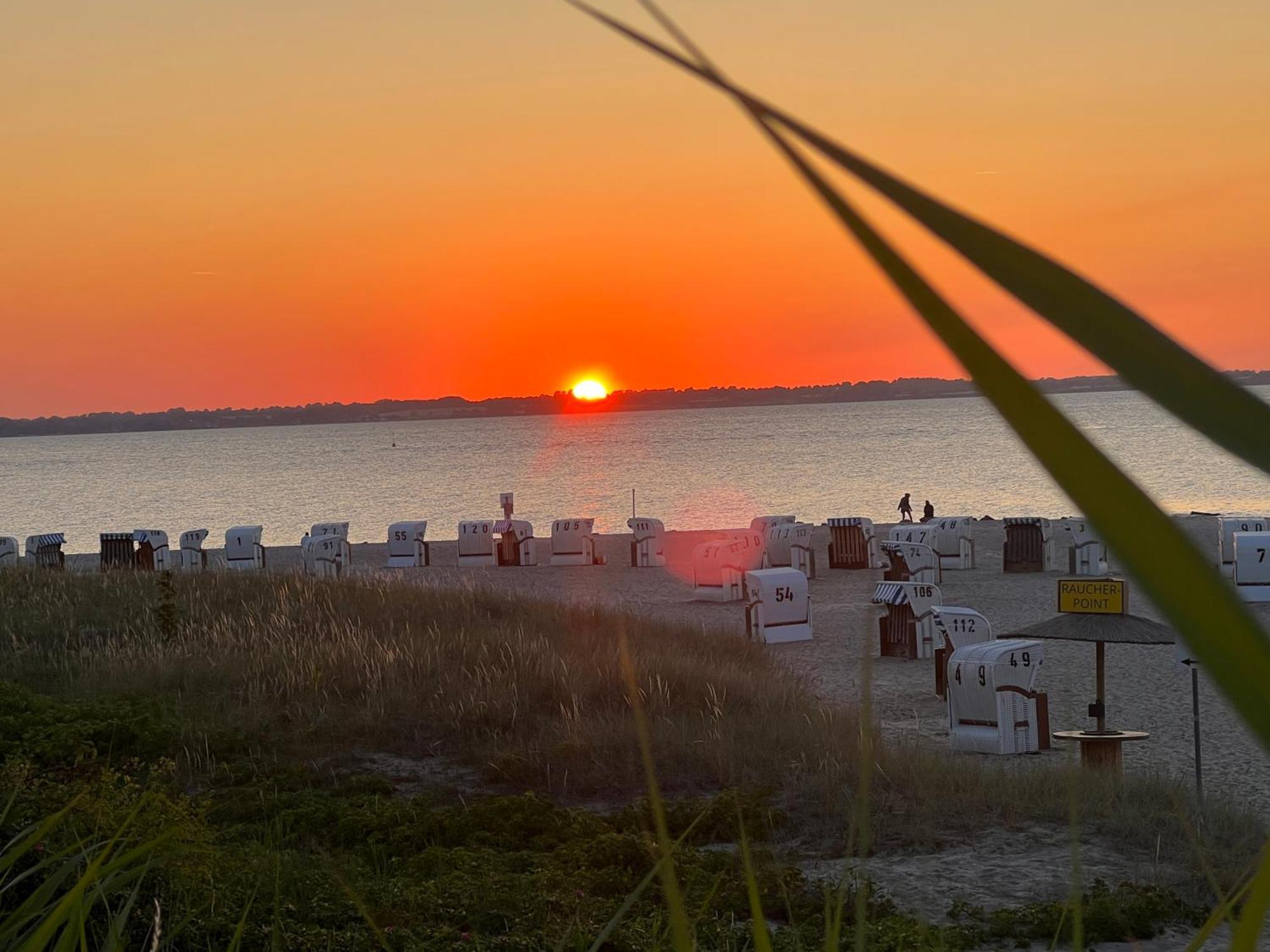Neue Ferienwohnung An Der Ostsee,Terrasse,Sauna Surendorf Exteriér fotografie